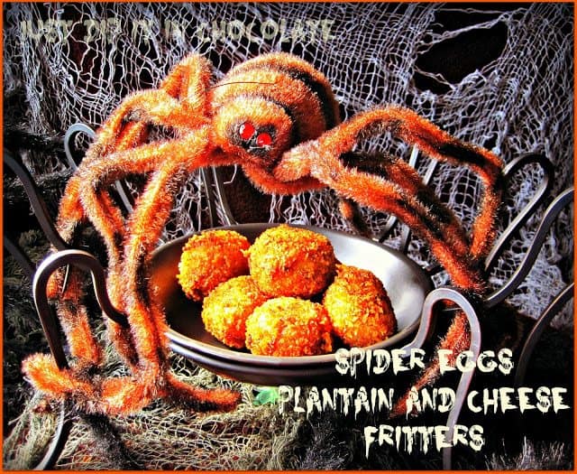 spider eggs
