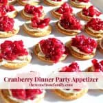 Cranberry cheese appetizers on a platter