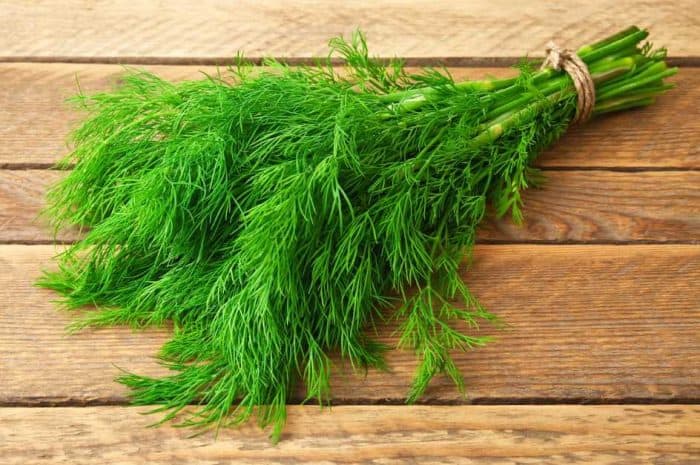 one bundle of dill placed in a wooden table