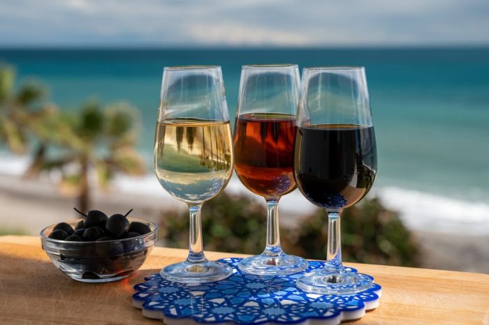 Tasting of Spanish sweet and dry fortified Vino de Jerez sherry wine and green olives with view on blue sea and beach near El Puerto de Santa Maria, Andalusia, Spain
