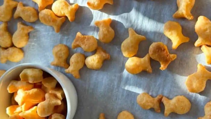crunchy and tasty crackers are made with sourdough starter and infused with cheese in Goldfish shapes