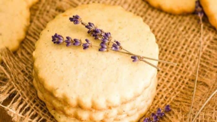 The zesty punch of lemon meets the subtle floral notes of lavender with these cookies