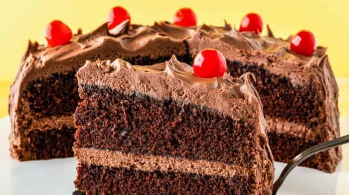 close up image of chocolate mayonnaise cake with cherry on top