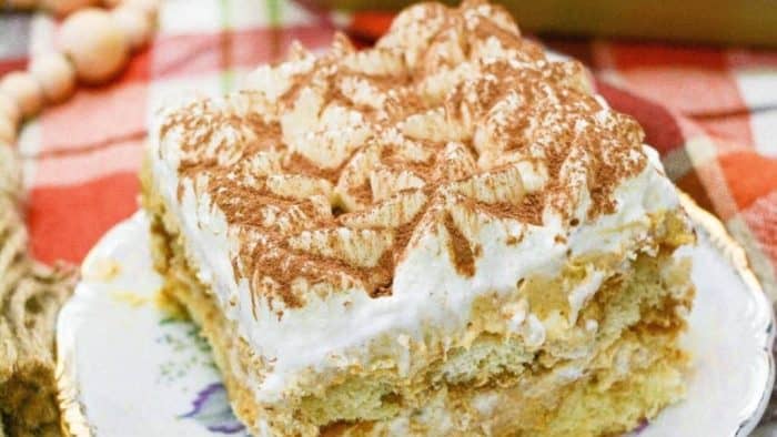 This autumnal take on tiramisu is super cozy with a creamy and luxurious texture, featuring layers ladyfingers soaked in coffee with a velvety pumpkin-and-cream-cheese combo and a whipped cream topping. 