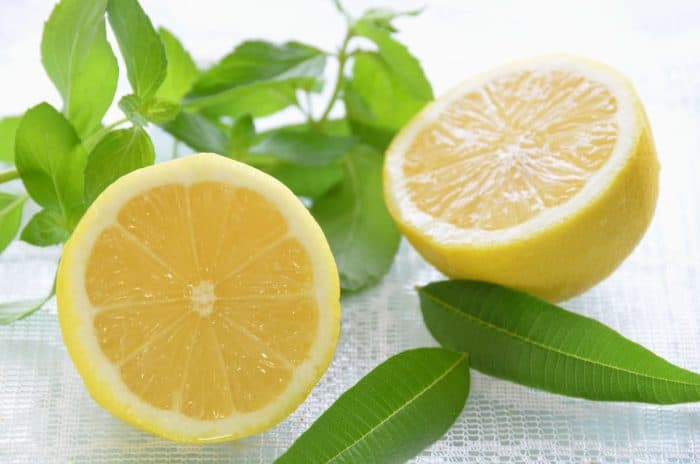 Lemon verbena leaves and lemon
