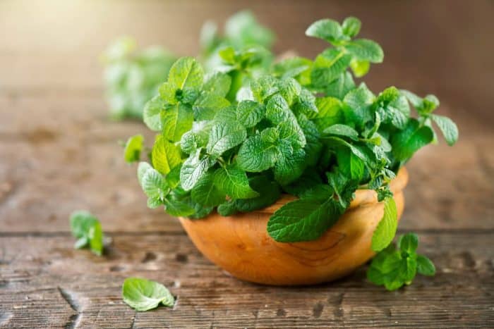 Bunch of fresh green mint leaves on wooden tabl