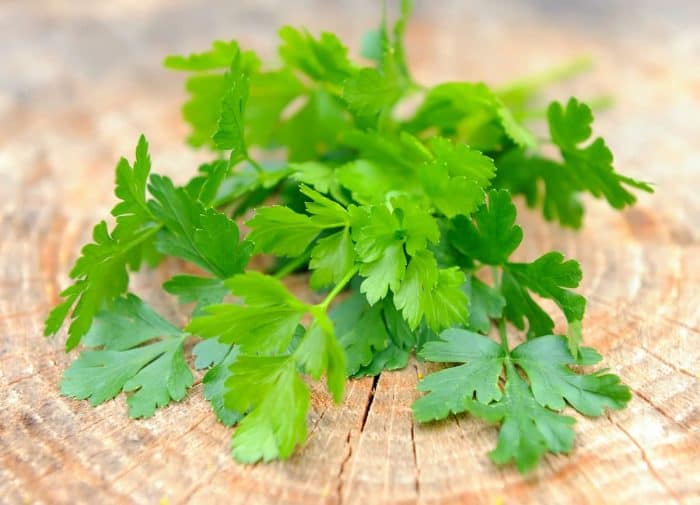 Bunch of fresh green parsley on a wooden background