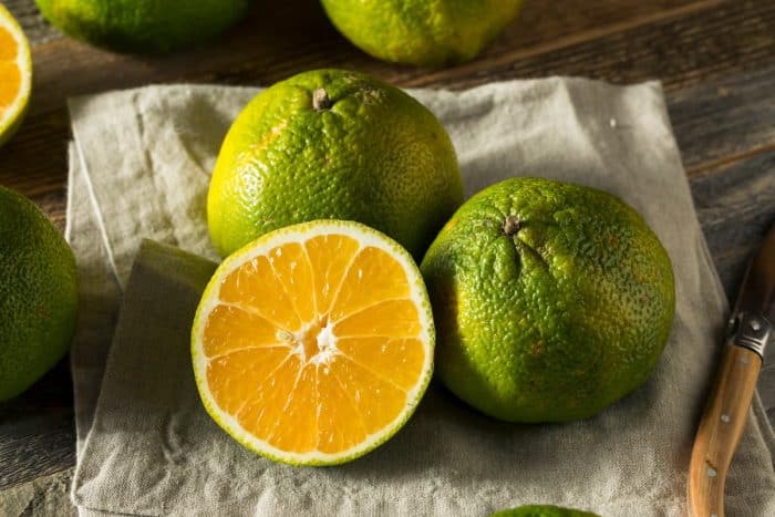 raw ugli fruit placed on a kitchen cloth on a wooden table