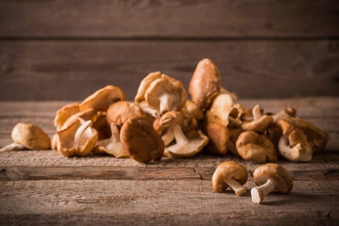 Shiitake mushrooms bring a rich, umami flavor that complements miso and soy-based broths.