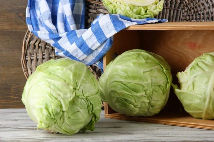 a bunch of Cabbage on table on wooden background