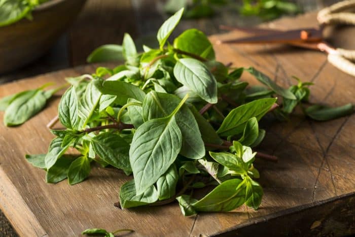 Raw Green Organic Thai Basil on a wooden chopping board