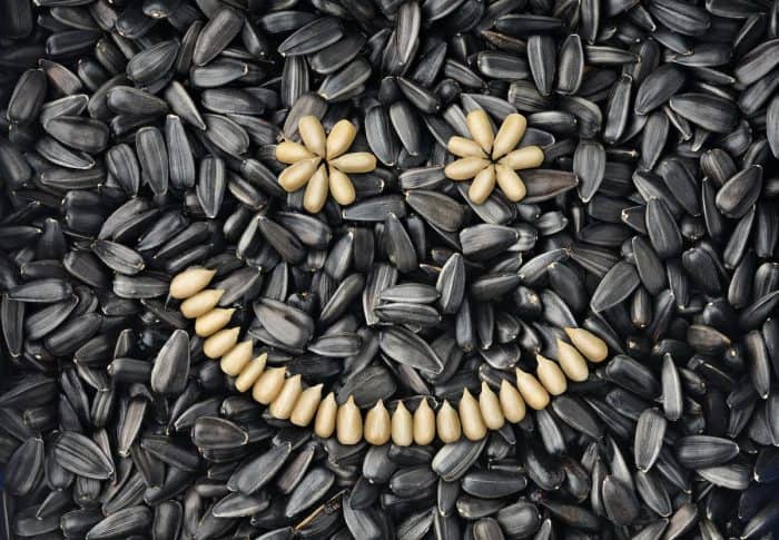 sunflower seeds with peeled sunflowers on a smiley shaped