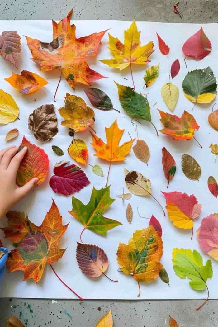 Fallen leaves arranged by a child's hand build a natural, earthy collage — a great craft idea for your little outdoor adventurer.