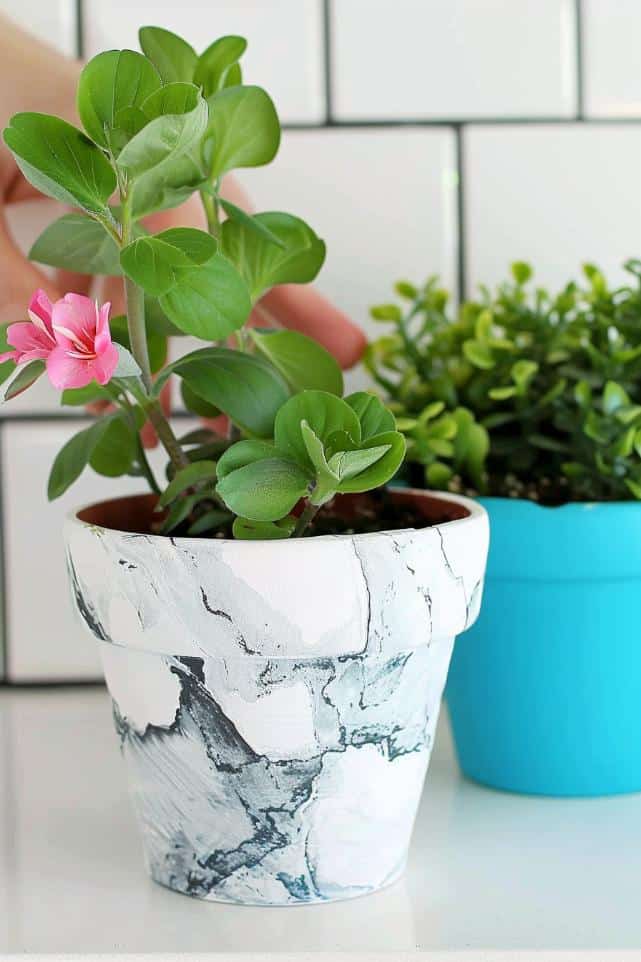 Sophisticated and classic, the marble pattern on these pots mimics the luxurious feel of marbled stone with a twist of creativity and elegance.
