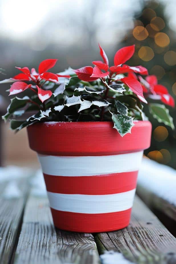 For a sweet touch during the holiday season, paint candy cane stripes on your flower pots! 