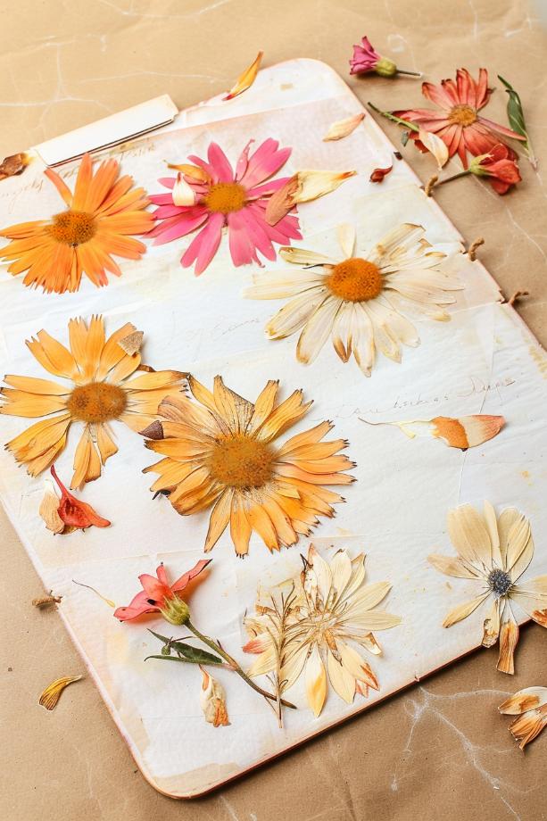 Embellish scrapbook pages with pressed flowers to add texture and natural elements to your memories.