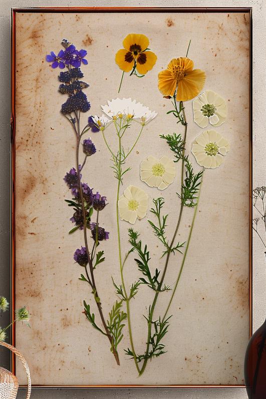 Create canvas art by arranging pressed flowers onto a painted or plain background, securing them in place with a sealant.