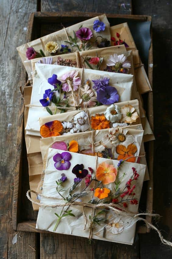 Create seed envelopes by attaching pressed flowers to the paper, adding a visual promise of the growth to come.