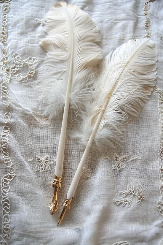 Create feather quill pens by attaching a writing nib to the quill end of a large feather.