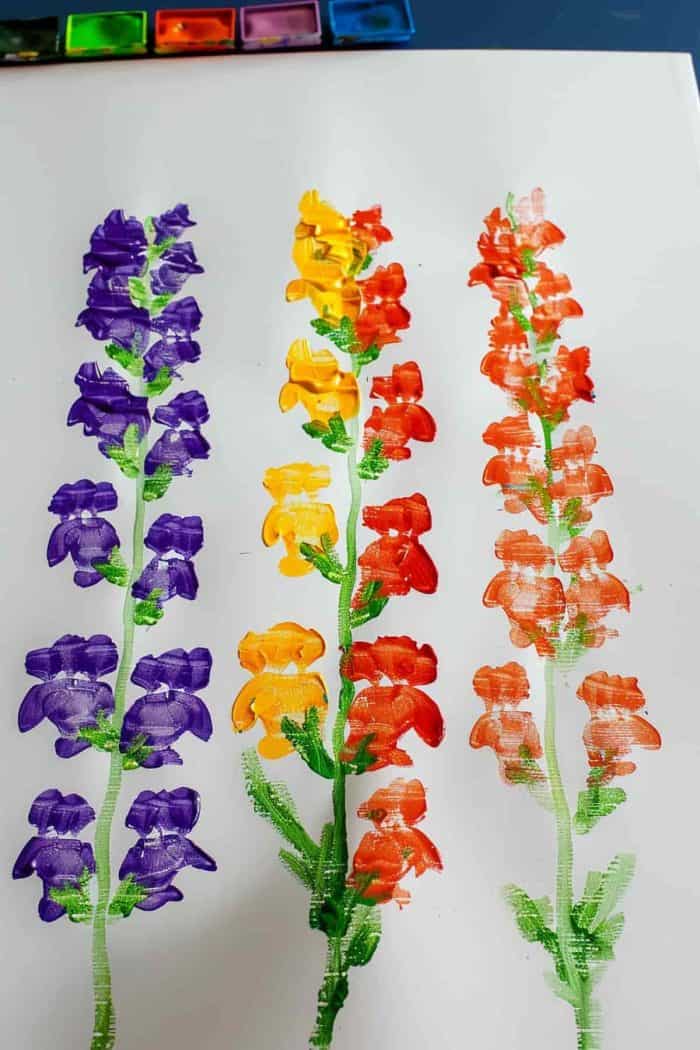 A finger painting of colorful snapdragons with green stems