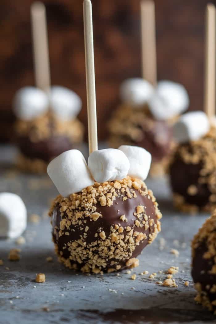 Chocolate-covered treats on sticks topped with mini marshmallows and crushed graham crackers are arranged on a gray surface. The background is blurred, emphasizing the texture and details of the treats in the foreground.