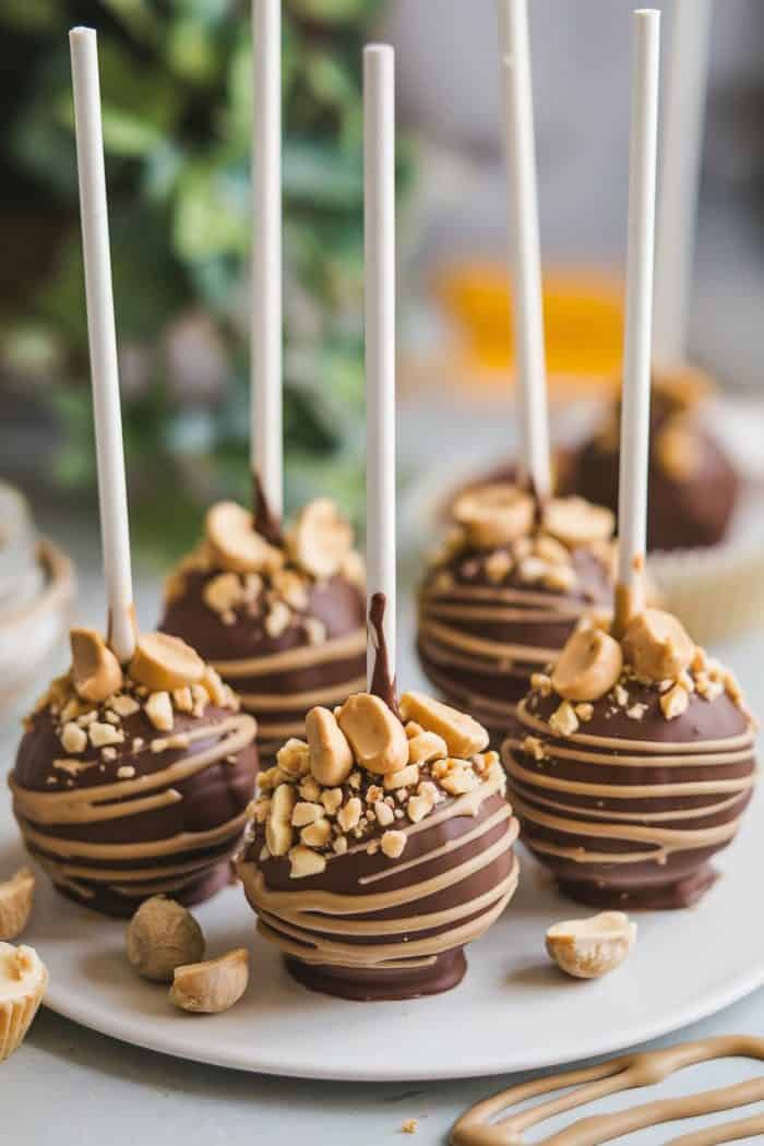 Five chocolate cake pops on a plate, drizzled with caramel and topped with chopped nuts and peanuts. Each pop is on a white stick. Background shows a blurred green plant.