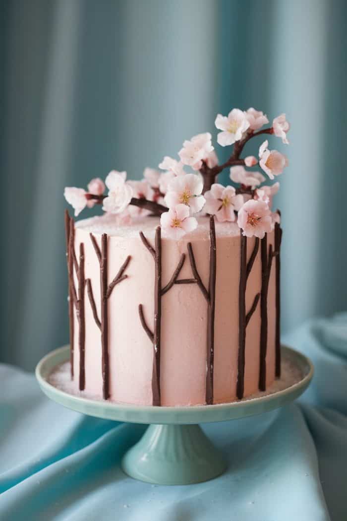 A pink frosted cake is decorated with chocolate branches and delicate pink cherry blossoms. It sits on a light green cake stand against a soft blue background.