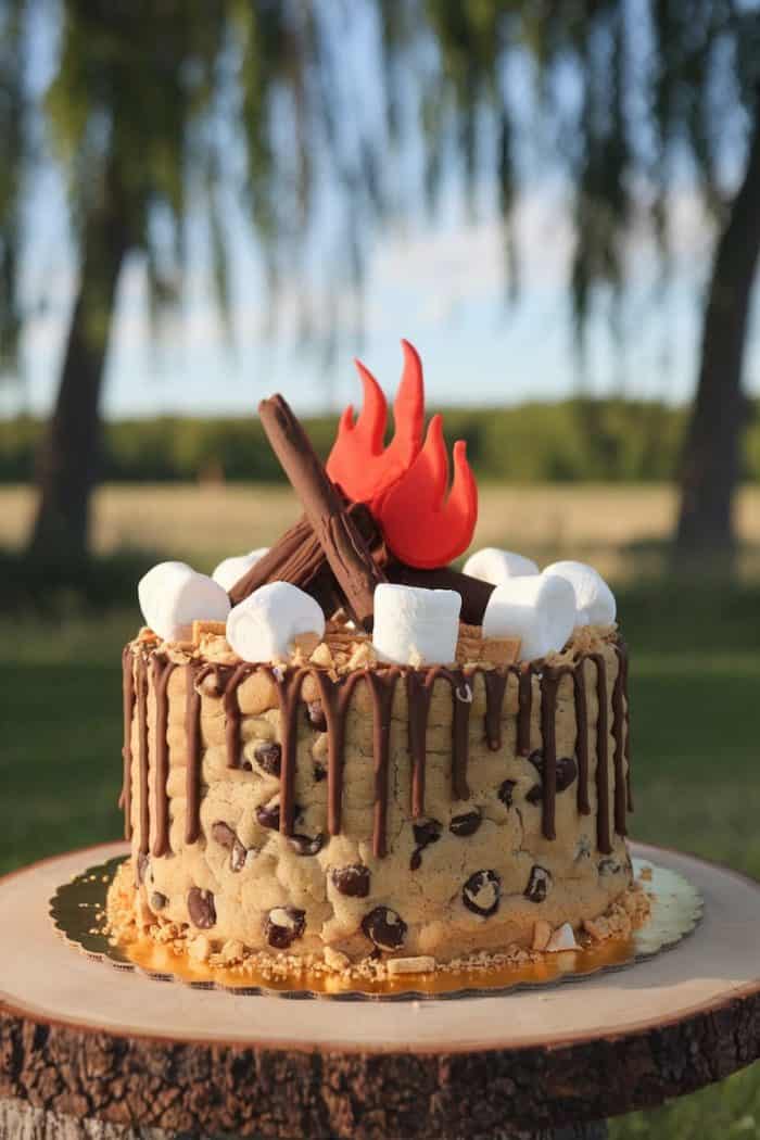 A chocolate chip cake decorated with marshmallows and chocolate sticks sits on a wooden surface outdoors. The cake is topped with red and orange fondant flames, and chocolate drips along the sides. Trees and a blurred natural background are visible.