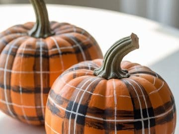 Two orange pumpkins sit on a white surface, each decorated with painted black and white plaid patterns. Sunlight streams in from the right, casting soft shadows and creating a warm, inviting atmosphere.